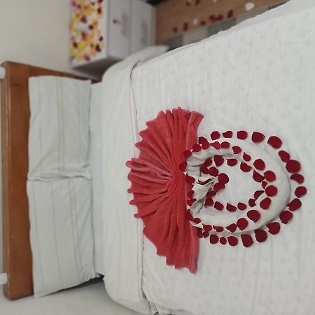 Addis Guest House Dış mekan fotoğraf